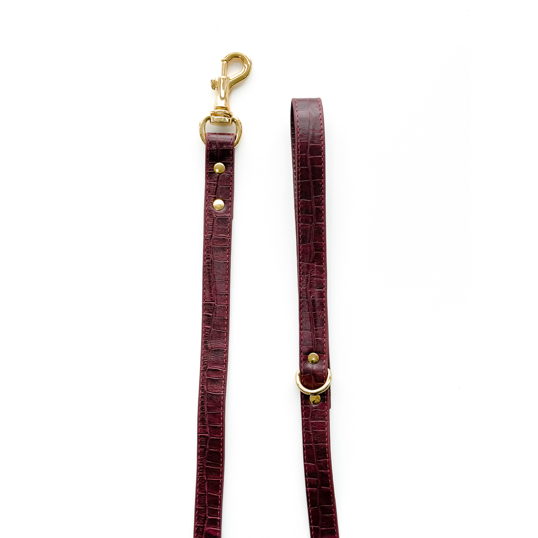 Coleira Personalizada Croco