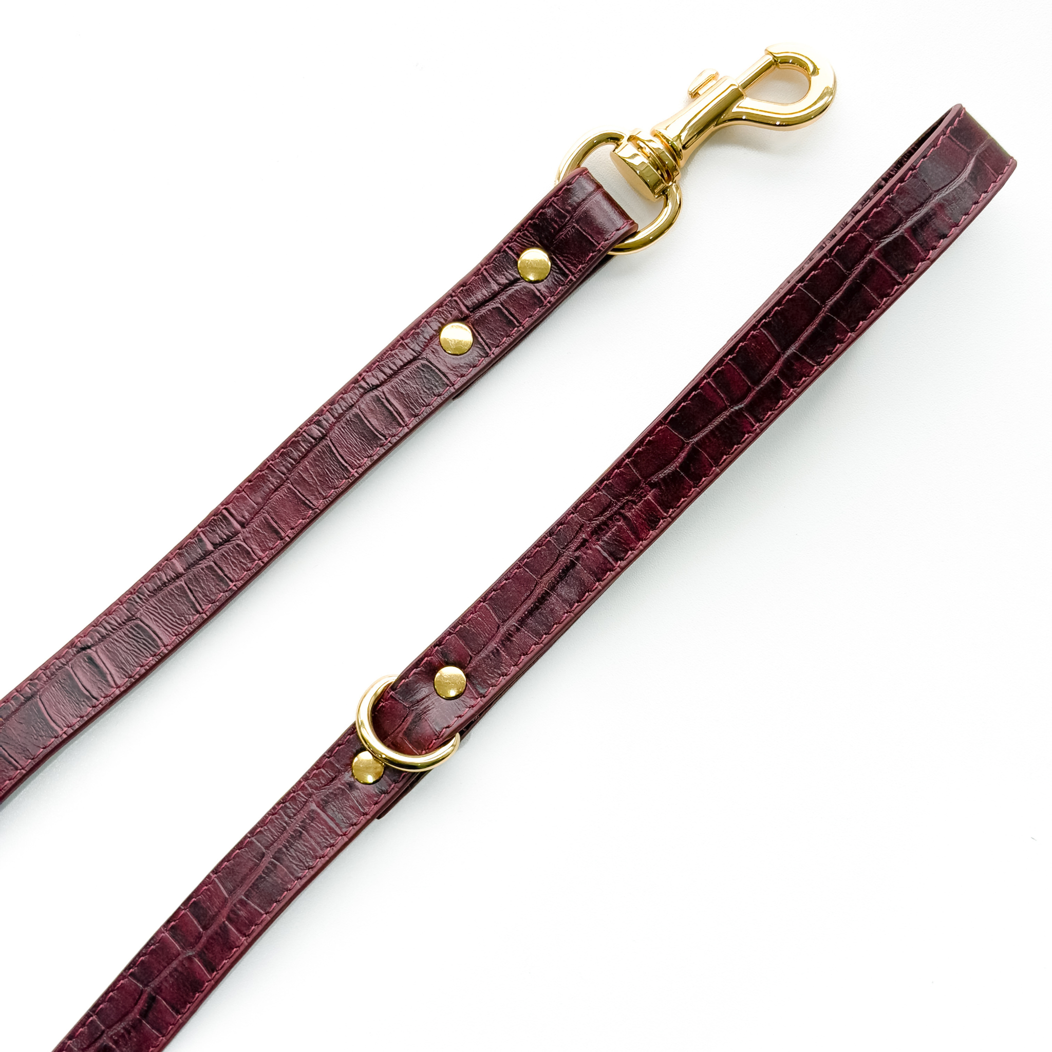 Coleira Personalizada Croco
