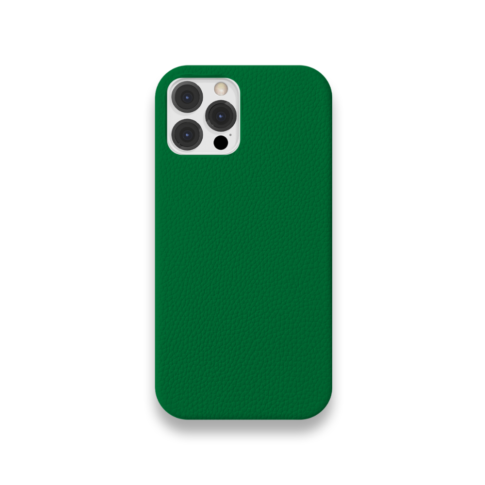 Case Couro Lisa Color