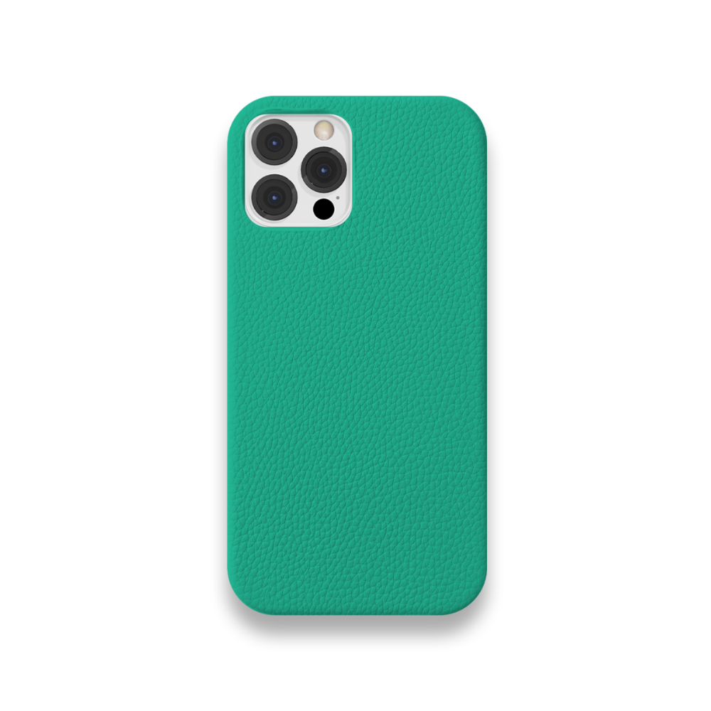 Case Couro Lisa Color