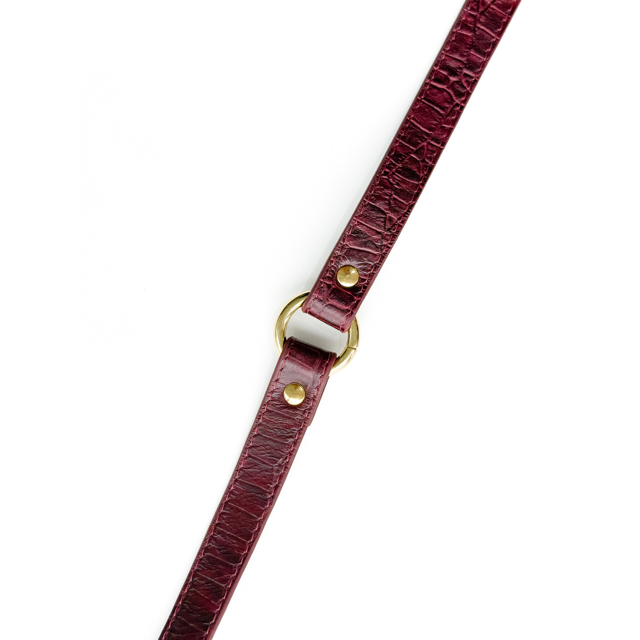 Coleira Personalizada Croco