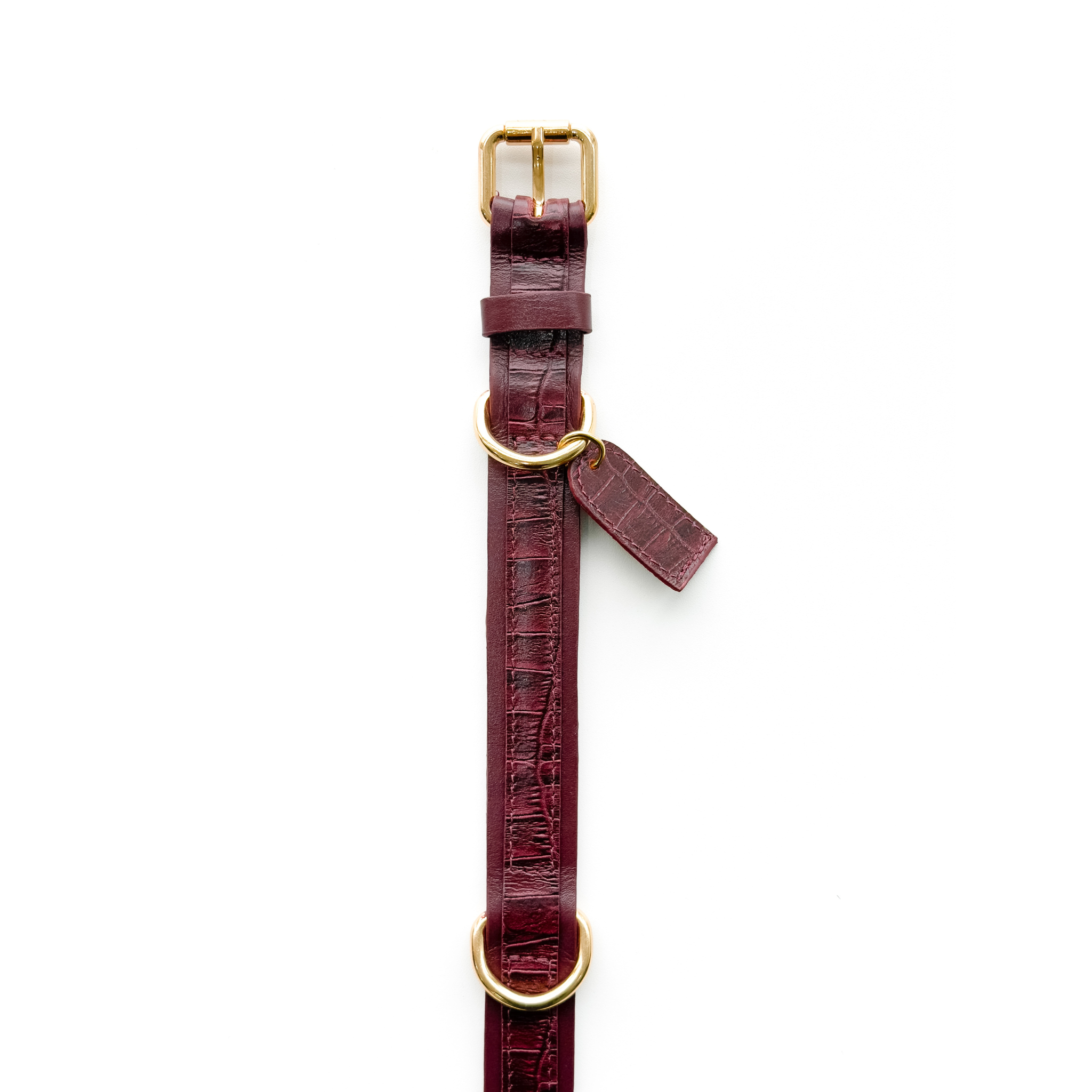 Coleira Personalizada Croco