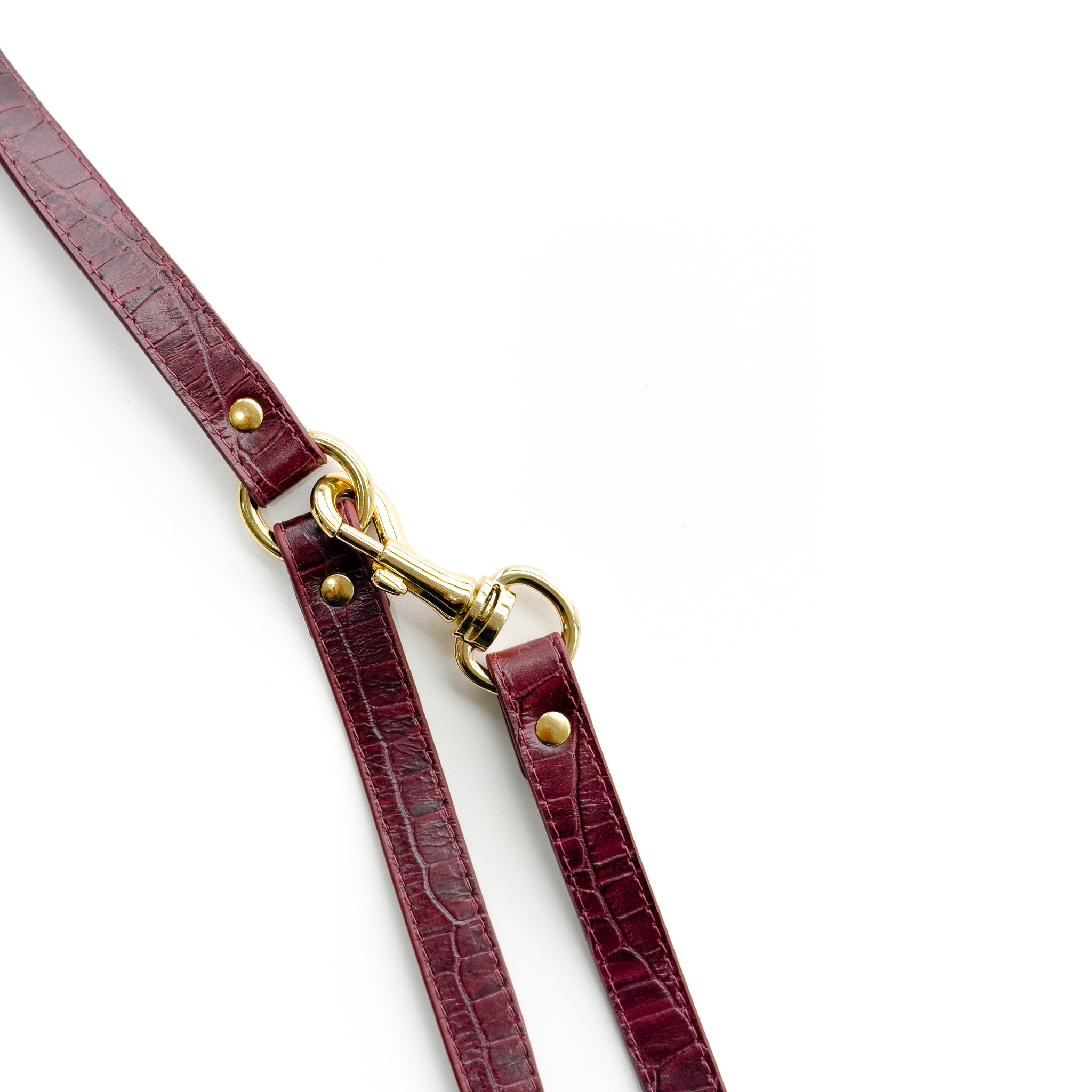 Coleira Personalizada Croco