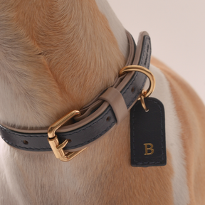 Coleira Personalizada em Couro