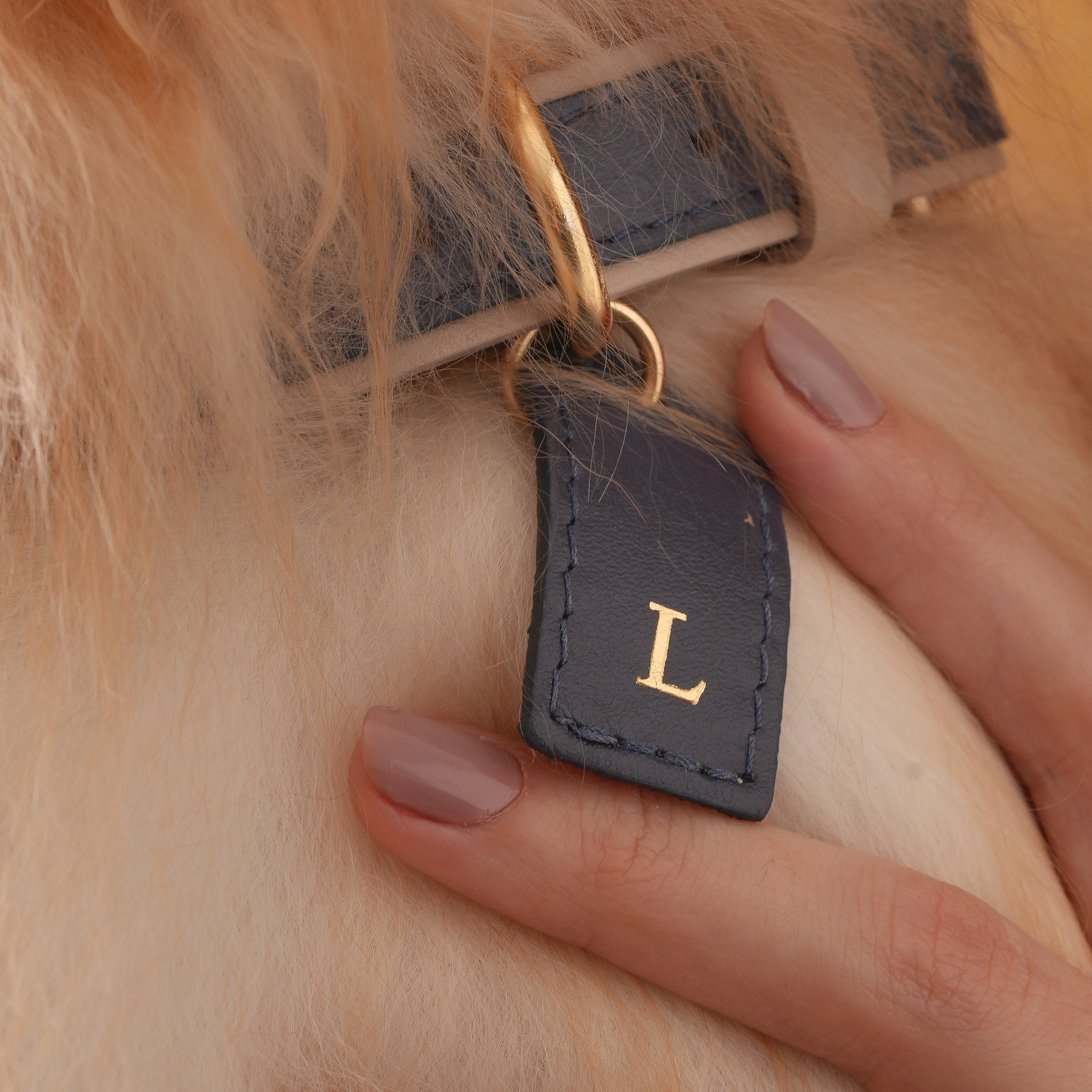 Coleira Personalizada em Couro