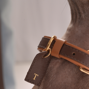 Coleira Personalizada em Couro