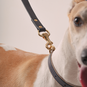 Guia Clássica em Couro