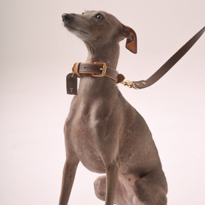 Guia Crossbody em Couro