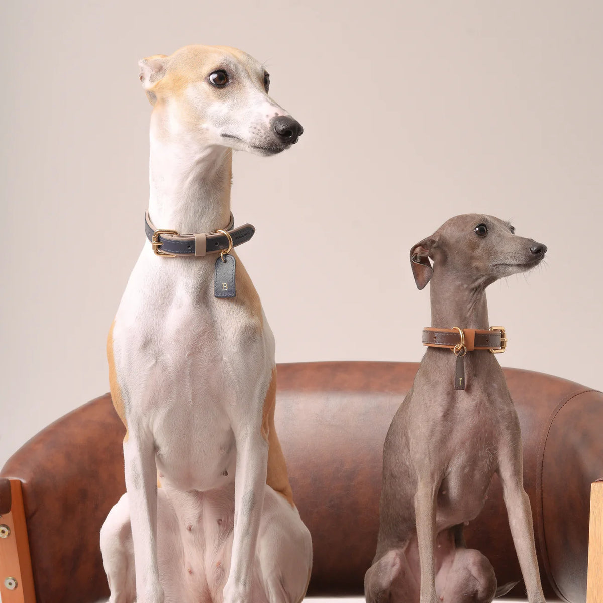 Coleira Personalizada em Couro