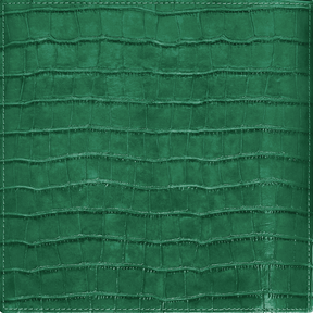 Porta Relógio Croco