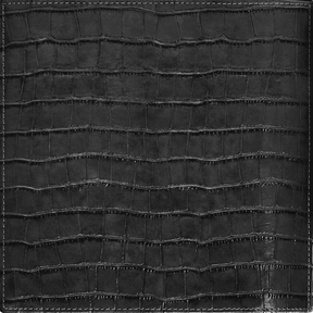 Porta Relógio Croco